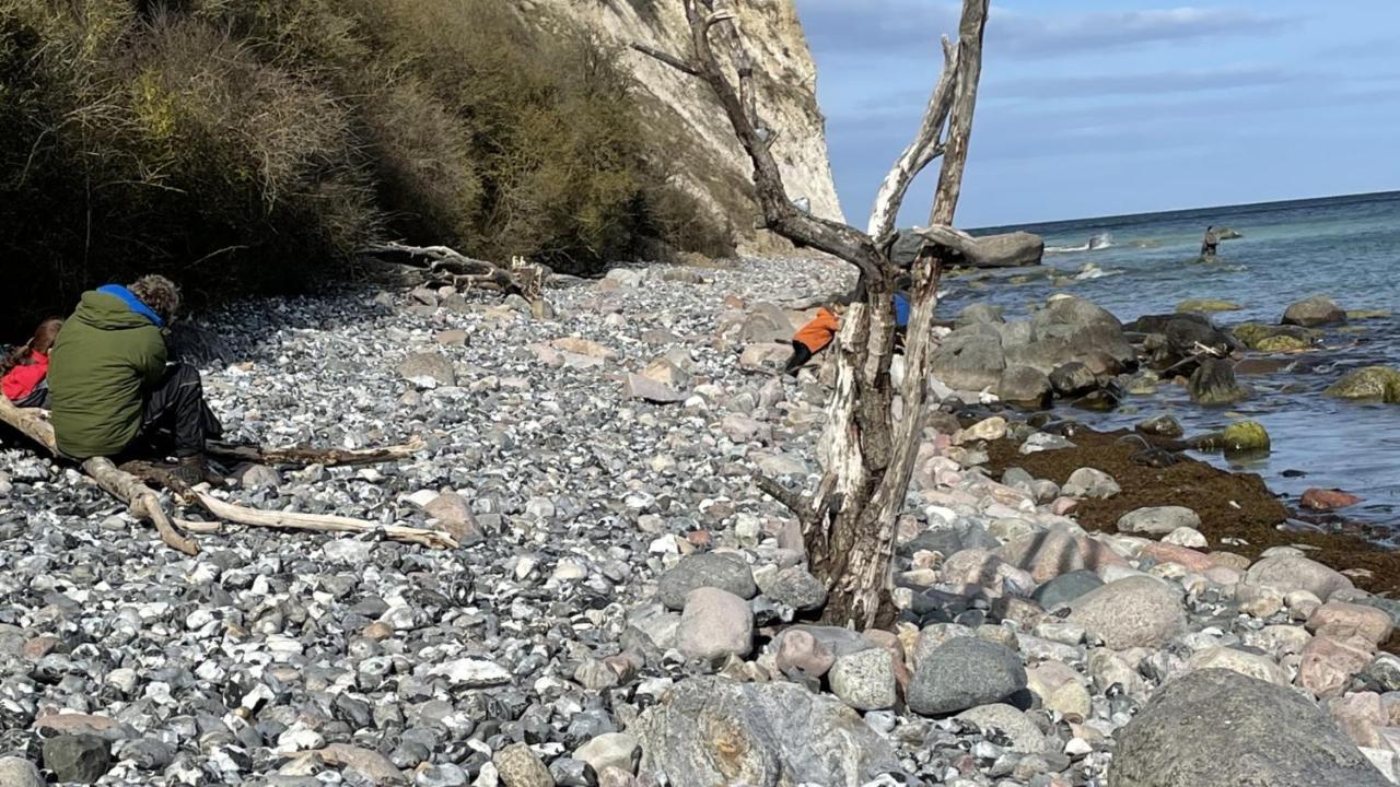 사가드 Mare Balticum Urlaub Auf Ruegen 아파트 호텔 외부 사진